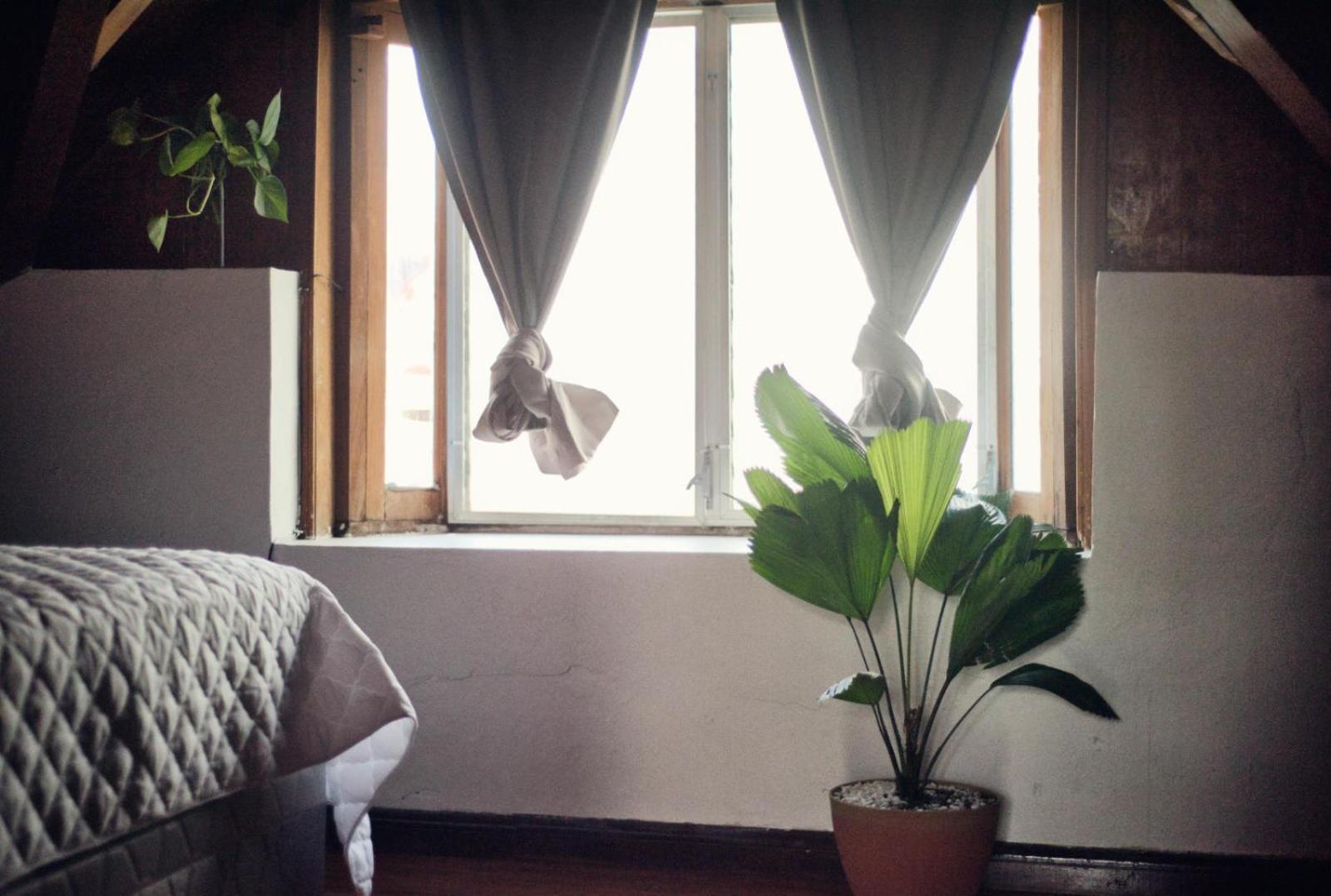 Hostal Don Cenobio Flores Bagian luar foto