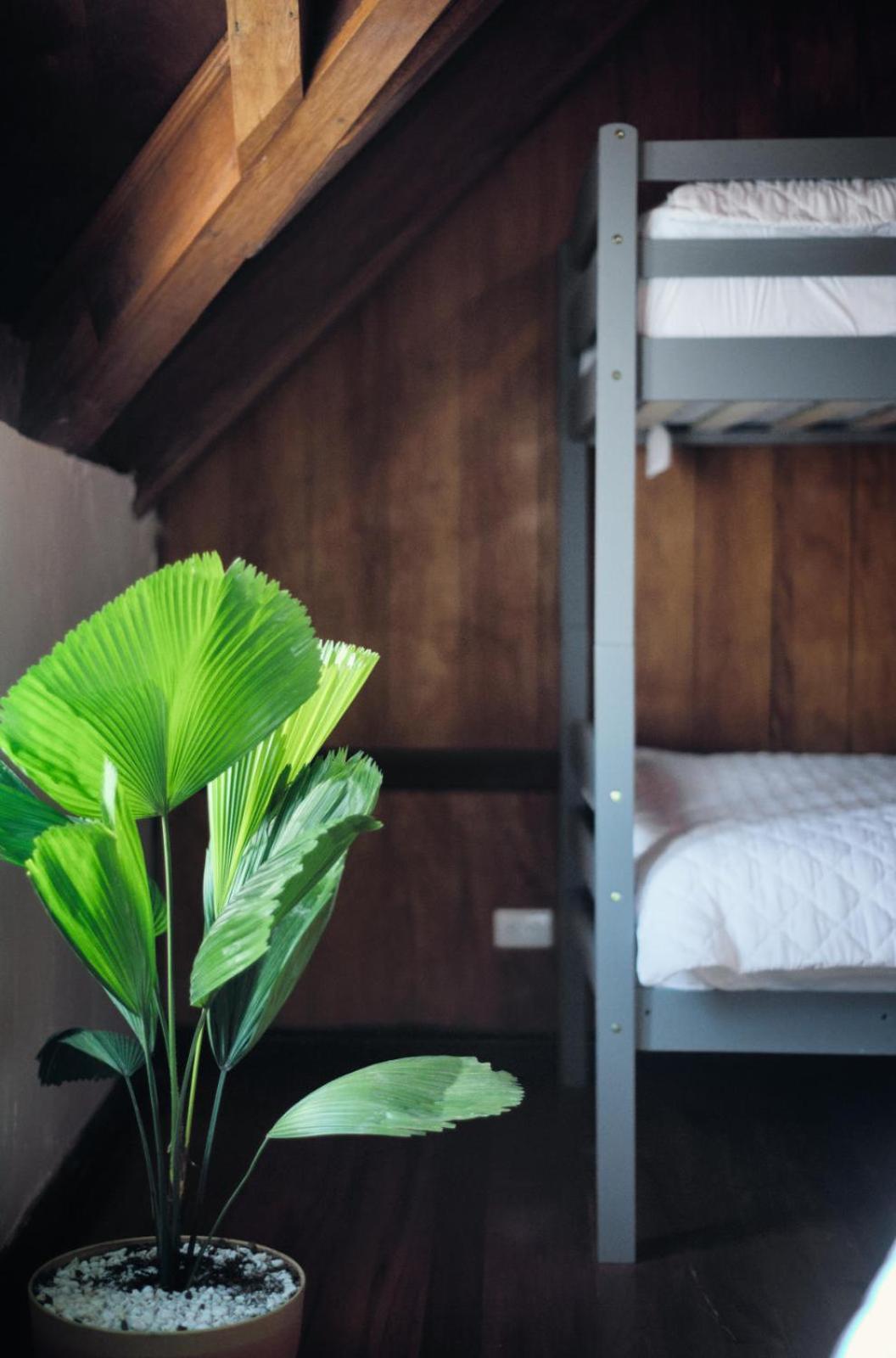 Hostal Don Cenobio Flores Bagian luar foto